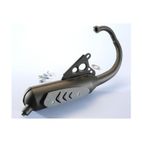 Escape Polini acero negro original homologado Bw´s 200.0311 - motoscamaralweb.com