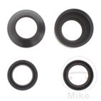 Retenes de Horquilla AllBallsRacing 30x42x10.5 | Motos Camaral