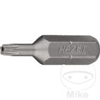 Punta 5-STERN 10H 1/4 25mm | Motos Camaral