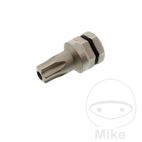 Punta Torx T30 5/16 8mm | Motos Camaral