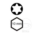 Punta Torx T40 10 mm 75 mm | Motos Camaral