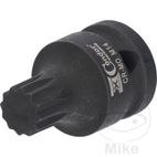 Vaso Punta Reforzado 1/2 Multident M14x40 | Motos Camaral