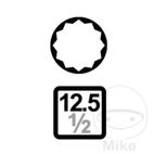 Vaso de Impacto Multident M10 1/2" 78mm | KR EINS | Motos Camaral