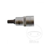 Vaso Punta Multident 1/2 M8 Longitud 55 mm | Motos Camaral