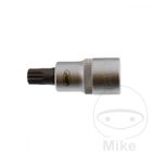 Vaso Punta Multident 1/2 M10 55mm | Motos Camaral