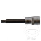 Vaso Punta Multident 1/2 M8 Largo | Motos Camaral