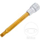 Vaso Punta Torx 1/2 T50 138mm | Motos Camaral