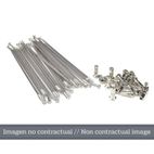 Juego de radios plata para llanta 17 para buje OEM 25 1407- motoscamar