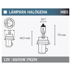 Lámpara OSRAM 9007 HB5 - motoscamaralweb.com
