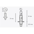 Lámpara V PARTS halógena H1 - motoscamaralweb.com