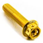 Tornillo Aluminio Race Spec Pro-Bolt LHX612RGE Oro - motoscamaralweb.com