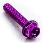 Tornillo Aluminio Race Spec Pro-Bolt LHX510RPE Violeta - motoscamaralweb.com