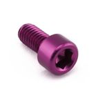 Tornillo de Aluminio Pro-bolt cabeza cilíndrica M6 x (1.0mm) x 12mm violeta LPB508P - motoscamaralweb.com