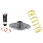 Corrector de par Malossi 4T- motoscamaralweb.com