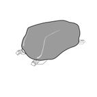 Funda impermeable para bolsas Shad sobre depósito - motoscamaralweb.com