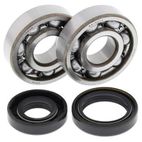 Kit rodamientos y retenes de cigüeñal ALL BALLS 24-1008 - motoscamaralweb.com