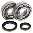 Kit rodamientos y retenes de cigüeñal ALL BALLS 24-1021 - motoscamaralweb.com