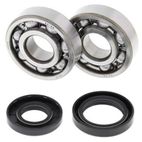 Kit rodamientos y retenes de cigüeñal ALL BALLS 24-1025 - motoscamaralweb.com