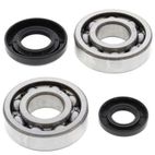 Kit rodamientos y retenes de cigüeñal ALL BALLS 24-1029 - motoscamaralweb.com