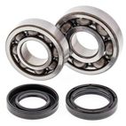 Kit rodamientos y retenes de cigüeñal ALL BALLS 24-1043 - motoscamaralweb.com