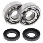 Kit rodamientos y retenes de cigüeñal ALL BALLS 24-1062 - motoscamaralweb.com