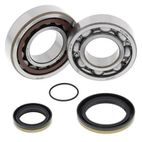 Kit rodamientos y retenes de cigüeñal ALL BALLS 24-1098 - motoscamaralweb.com