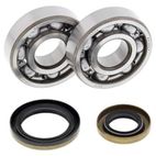 Kit rodamientos y retenes de cigüeñal ALL BALLS 24-1110 - motoscamaralweb.com