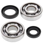 Kit rodamientos y retenes de cigüeñal ALL BALLS 24-1075 - motoscamaralweb.com