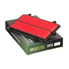 Filtro de aire HIFLOFILTRO - HFA3903 - motoscamaralweb.com
