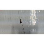 MUELLE RETORNO ACELERADOR DLM5301- motoscamaralweb.com