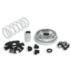 Variador Multivar Malossi SUZ. BURGMAN/EPICURO 125 SIXTEEN 125 5111324 - motoscamaralweb.com