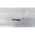 CHAVETA DPW3100G- motoscamaralweb.com