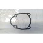 JUNTA PIÑONES PULVERIZADOR DUCATI DSP2500 20L AE1- motoscamaralweb.com