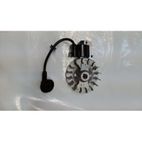 VOLANTE MAGNETICO PULVERIZADOR DUCATI DSP2500 20L E1- motoscamaralweb.