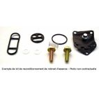 Kit Reparación grifo de gasolina KLX300R 02-03 FCK-50 - motoscamaralweb.com