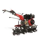 MOTOAZADA DUCATI DTL11000 DIESEL 10HP- motoscamaralweb.com