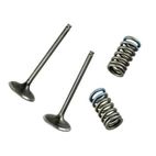 Kit de válvulas de escape WÖSSNER acero - motoscamaralweb.com