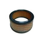 FILTRO AIRE AD BRIGGS (REF.ORIG. 392286)- motoscamaralweb.com