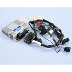 Centralita ECU POLINI - motoscamaralweb.com