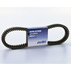 Correa de transmisión POLINI - motoscamaralweb.com