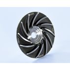 Semipolea POLINI Air Speed Evolution 12.5°- motoscamaralweb.com