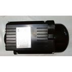 MOTOR ELECTRICO GY 3100B- motoscamaralweb.com