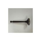 VALVULA ESCAPE MOTOR GOODYEAR GY210- motoscamaralweb.com