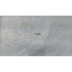 PIN R F2×9×38 GY702TL- motoscamaralweb.com