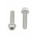 Tornillos con cabeza hexagonal/Torx BOLT M6 x 1.00 x 25mm - motoscamaralweb.com