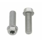 Tornillos con cabeza hexagonal/Torx BOLT M8 x 1.25 x 25mm - motoscamaralweb.com
