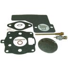 KIT REPARACIÓN CARBURADOR AD BRIGGS 10.12.16 HP (REF. ORI 391071)- mot