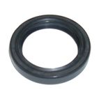 RETEN CIGÜEÑAL AD BRIGGS (REF.ORIG. 805101S)- motoscamaralweb.com