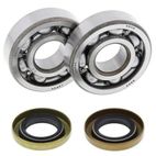 Kit rodamientos y retenes de cigüeñal ALL BALLS 24-1102 - motoscamaralweb.com