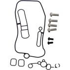 Kit de juntas tóricas FCR + tornillos Torx de carburador Tourmax - motoscamaralweb.com